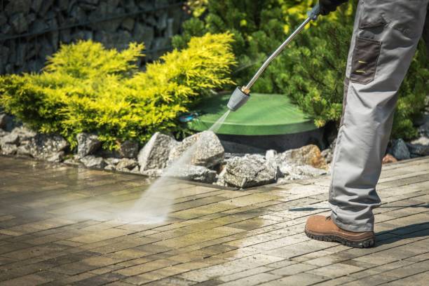 Best Roof Washing  in Rainbow Springs, FL