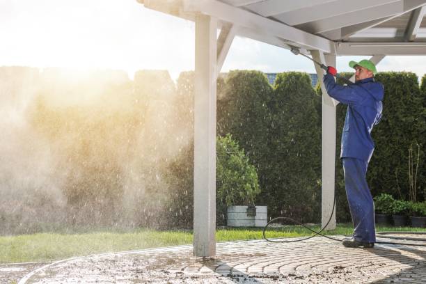 Best Sidewalk and Walkway Cleaning  in Rainbow Springs, FL