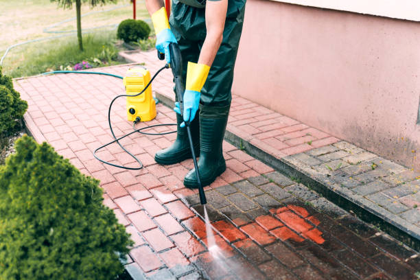 Spring Cleaning in Rainbow Springs, FL